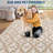 Extra Large Washable Area Rug Low Pile Ultra Soft Rug for Living Room Foldable Floral Butterflies Non Slip Stain Resistant Non Shedding Carpet-687776187
