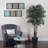 72 " H Faux Plant in Wicker/Rattan Basket