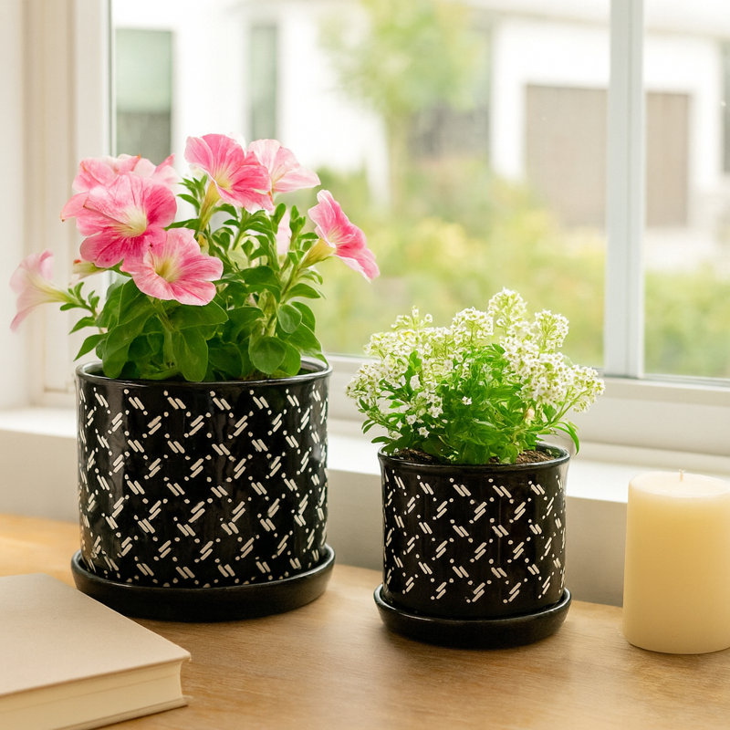Jardinières d'extérieur et d'intérieur avec soucoupe pour la décoration intérieure - Pots de fleurs élégants pour le salon, le patio ou le jardin - Ensemble de 2, 7 po, 5 po, noir et blanc