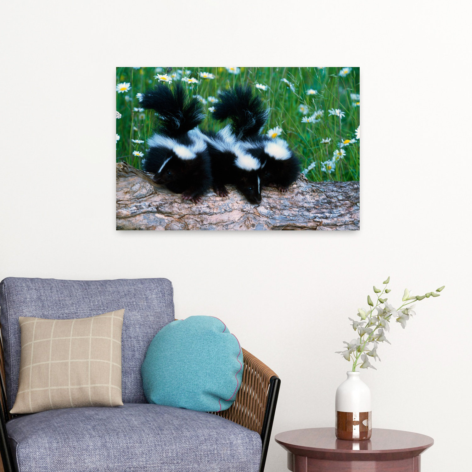 Union Rustic Three Young Skunks On Log In Wildflower Meadow Minnesota ...