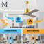 Nan 42" Ceiling Fan In Blades-1611395867-1662758411