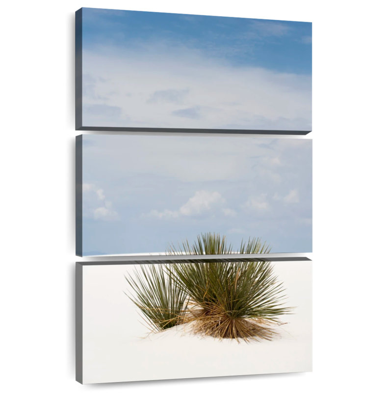 Buisson de dunes de sable, H 57 po x l 36 po