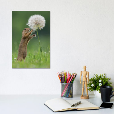 Ziesel With A Very Big Dandelion IV by Dick Van Duijn - Print on Canvas