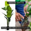Plante artificielle oiseau de paradis 6 '