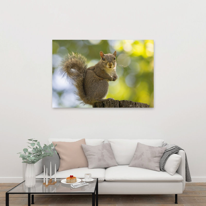 Alert Squirrel On Stump Abstract Contemporary Squirrel Forest Landscape Wall Art Print by Massimo Chiodini - Print