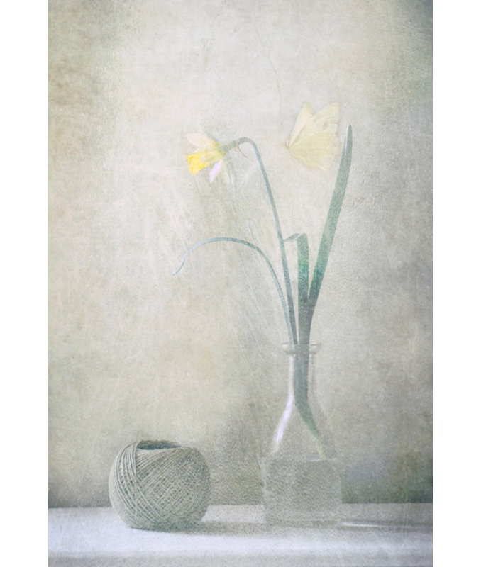 Wrapped Canvas Print, 50.8 cm H x 76.2 cm W