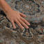 Tapis lavable à la machine de qualité supérieure Mayfield AMF2489-131264464-131264466