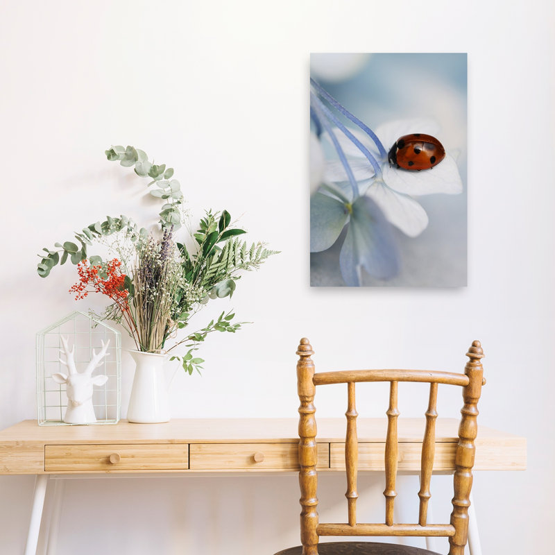 Ladybug On Blue Bloom Delicate Peaceful Ladybug Flower Nature Wall Art Print - Print, 60.96cm H x 40.64cm W