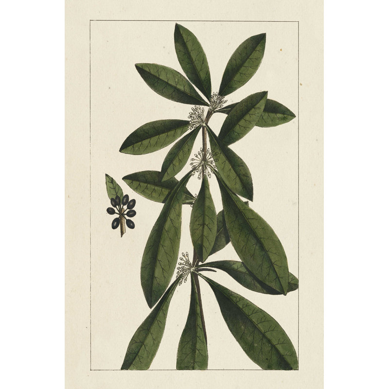 Silva Leaves II, H 18 po x l 12 po x P 1,25 po