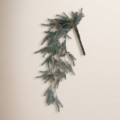 Snow Pine Stems
