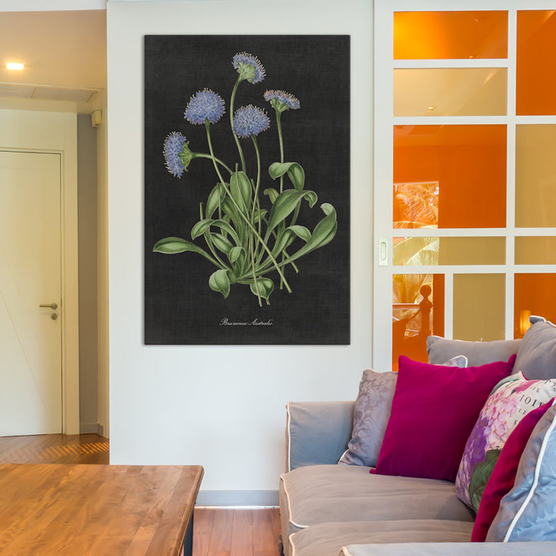 « botanique chart vii », impression sur toile tendue, H 60 po x l 40po x P 1,5 po, Pas de tapis, Toile tendue