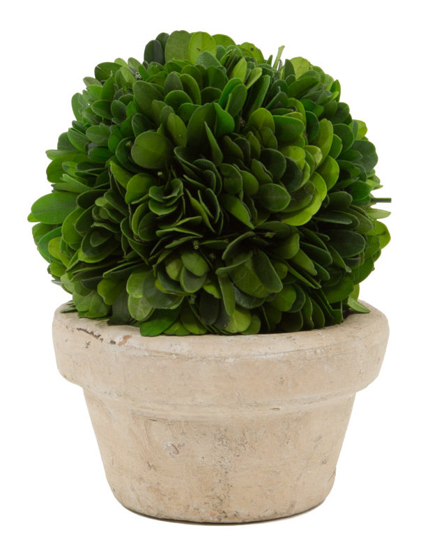 Faux Boxwood Topiary in Ceramic Pot, Small