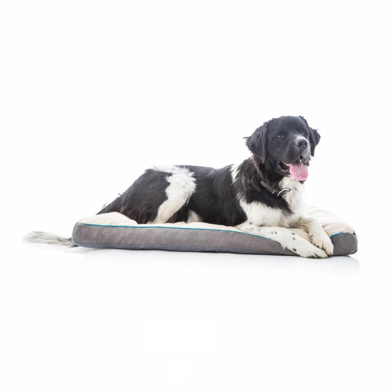 Matelas déchiqueté pour animaux de compagnie Costello, Kaki, Moyen (l 28 po x P 18 po x H 3 po)