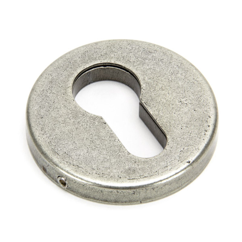 Regency Concealed Escutcheon Rosette, Pewter