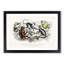 Orangutan and Monkeys by Oliver Goldsmith - Picture Frame Painting Print-55578267-55578266