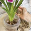 Plant Substrate-55087961