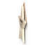 Witch Beware Spell Casting Wooden Star Plaque-1866199469