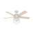 44" Hardwick 5 - Blade Standard Ceiling Fan with Remote Control and Light Kit Included-49135980