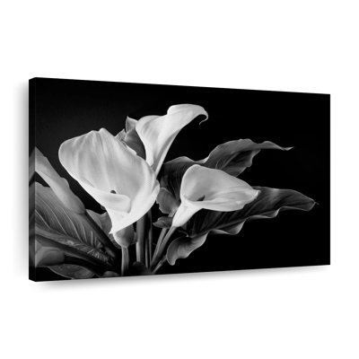 " Noir Calla Lilies Canvas Print "
