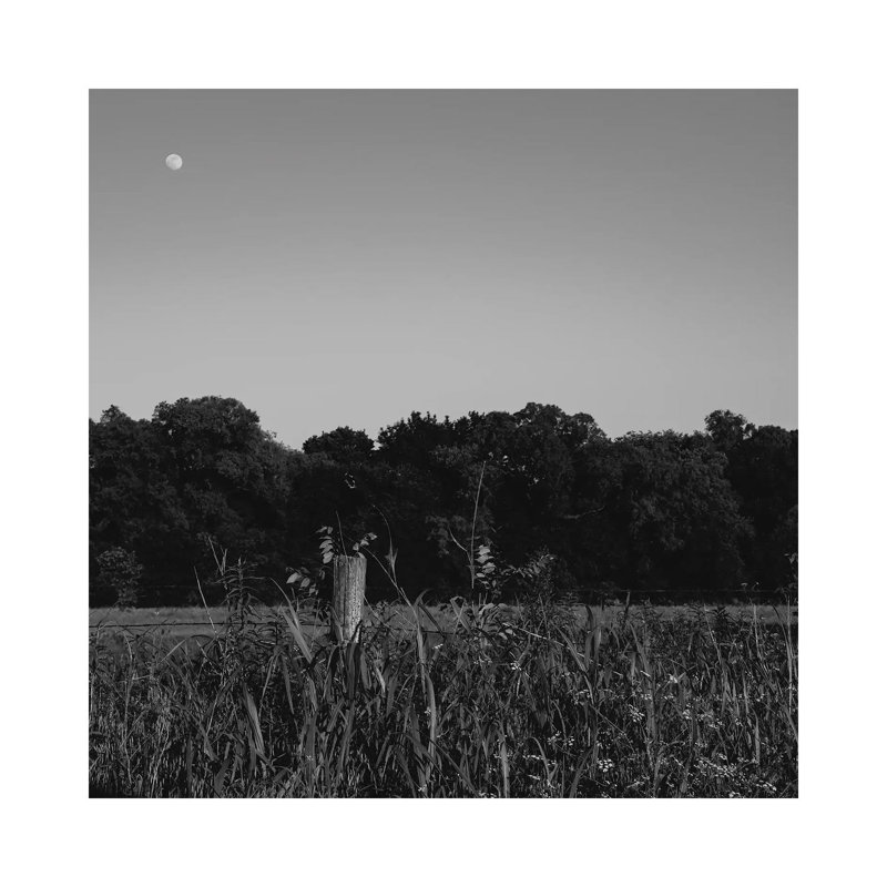 Summer Moon II by Bethany Young - Print on Canvas, 45.72cm H x 45.72cm W x 3.81cm D, Wrapped Canvas