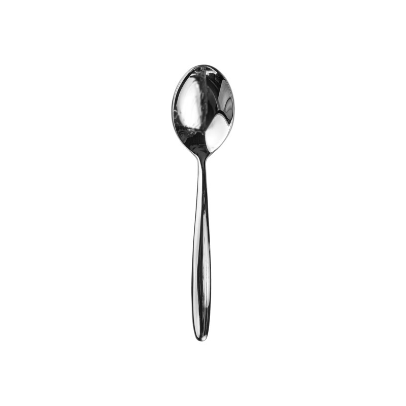 Acqua Stainless Steel Dinner Spoon