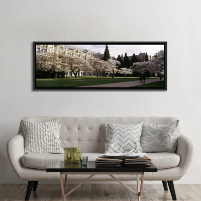 " Cherry Trees In The Quad Of A University, University Of Washington, Seattle, King County, Washington State, USA " by Panoramic Images
