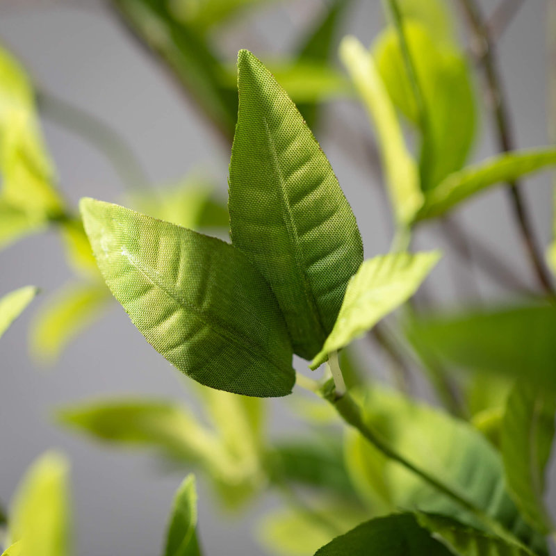 Guirlande artificielle L 62 po vert Ruscus & Twig