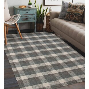 Gracie Oaks Buffalo Plaid Outdoor Rug Grey 27.5 X 43 Inches Cotton