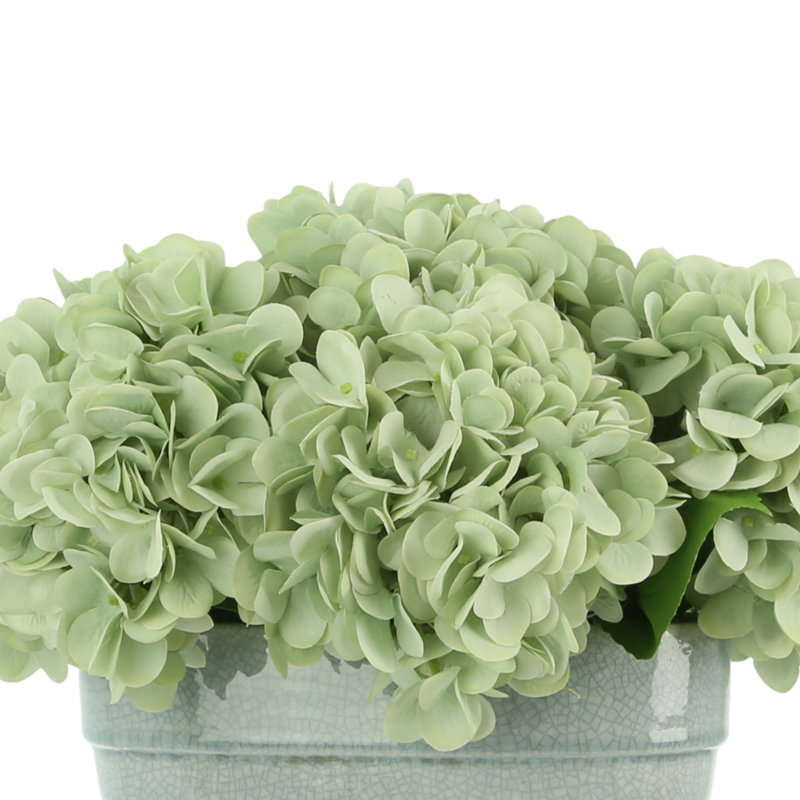 Hydrangea Floral Arrangement, Multicolor