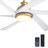 64" Ceiling Fan With LED Lights, Remote Control and Quiet Reversible DC Motor