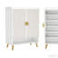 Rangement pour chaussures spacieux, armoire à chaussures de style moderne