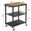 Alissah Metal Bar Cart