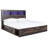 Drystan Bookcase Bed-1324867201