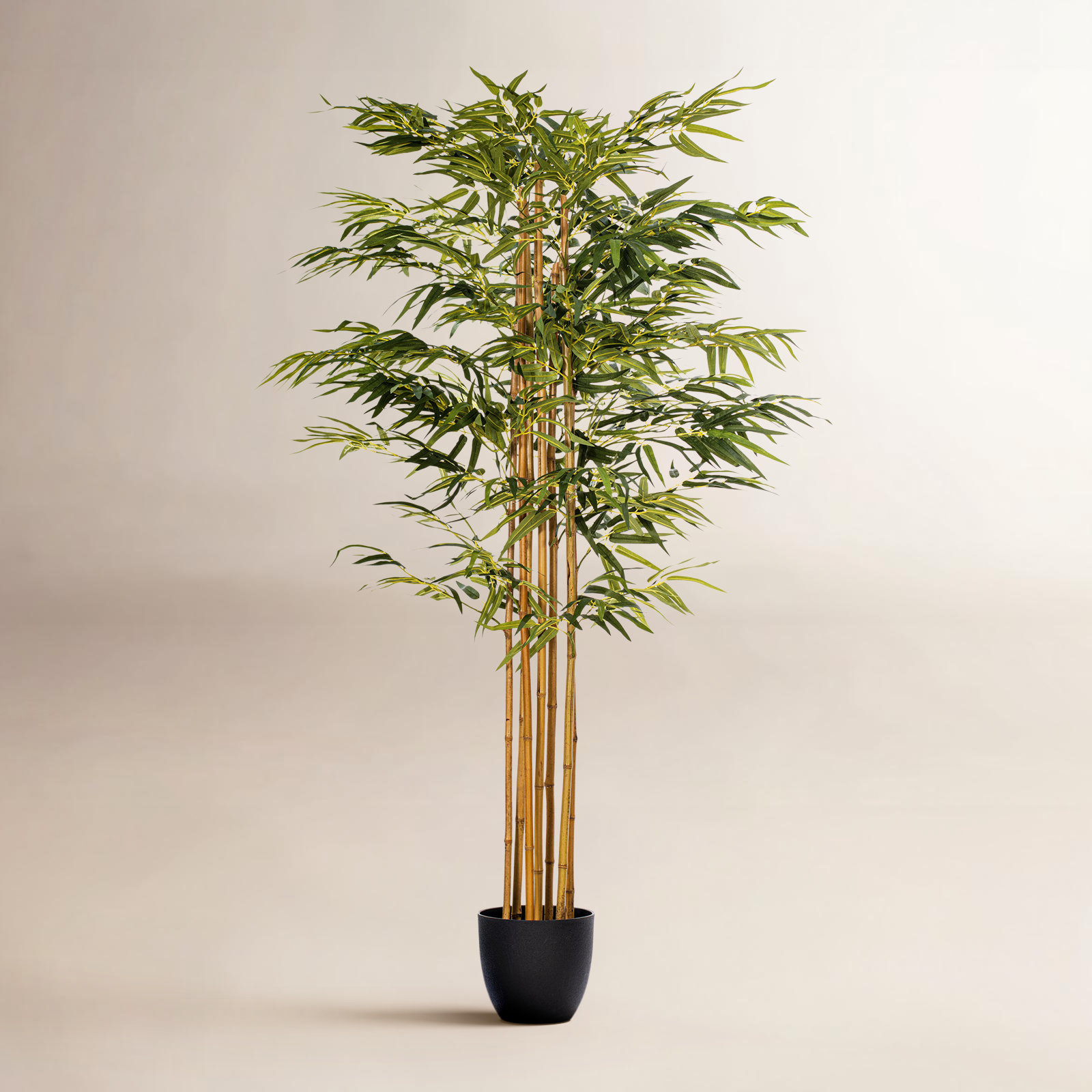 72" Tree in Pot