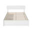 Lit Ause-1763986513-1763986510