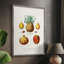 Reproduction encadrée de fruits et légumes V - bois massif-588347760