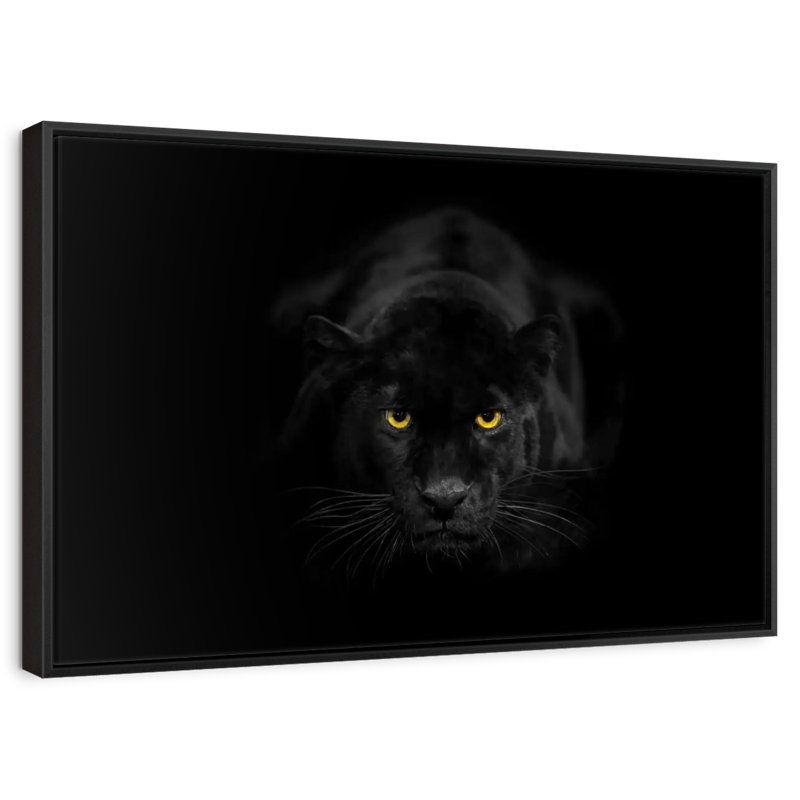 Rare panthère noire, Cadre flottant noir, 37 po x 25 po