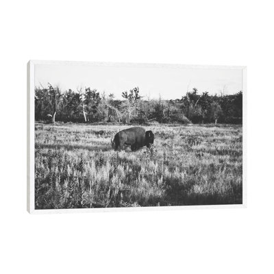 Lone Buffalo 1 Piece Wall Art on Canvas