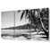 Beach Palms Canvas 3 Panel Set