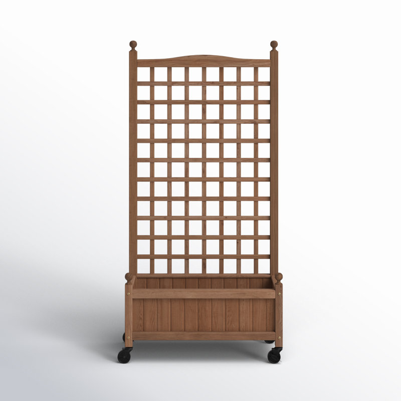 Allistir 50" H Wood Planter Box with Trellis
