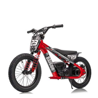 250W Electric Dirt Bike for Kids 8-12, 24V Detachable Battery, 16" Tire,15 MPH Max Speed