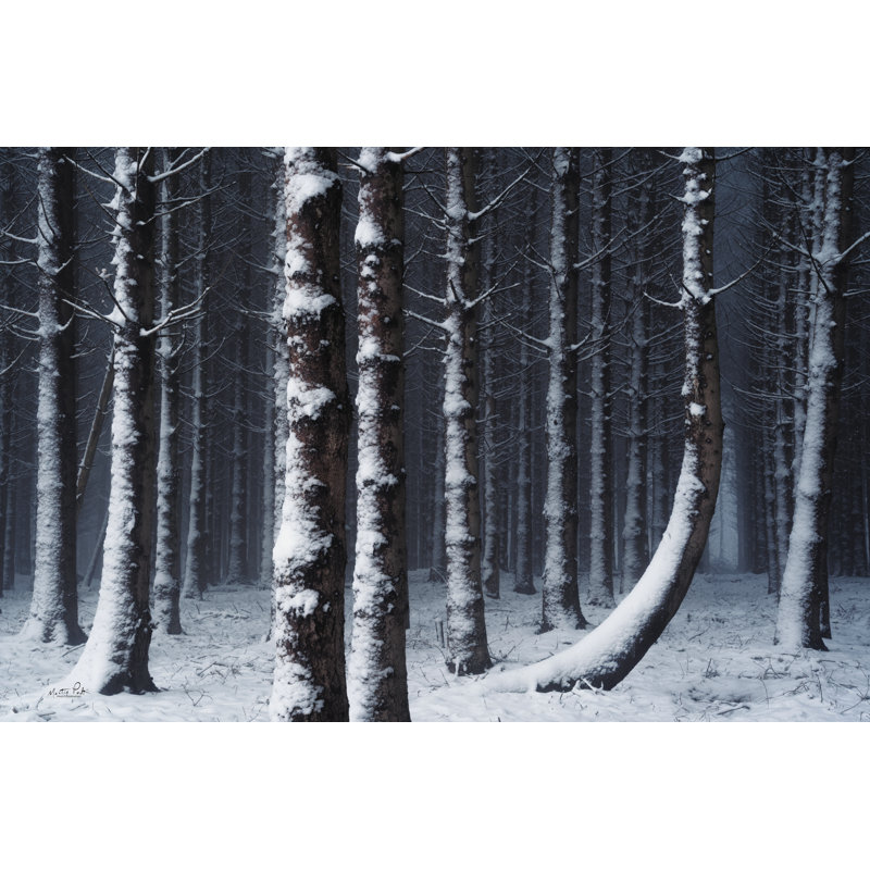 Crooké - imprimé, Papier avec cadre photo noyer, Non, H 12 po x l 18 po