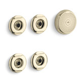 Flexjet Whirlpool Trim Kit with Four Jets