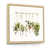 Natural Floater Framed