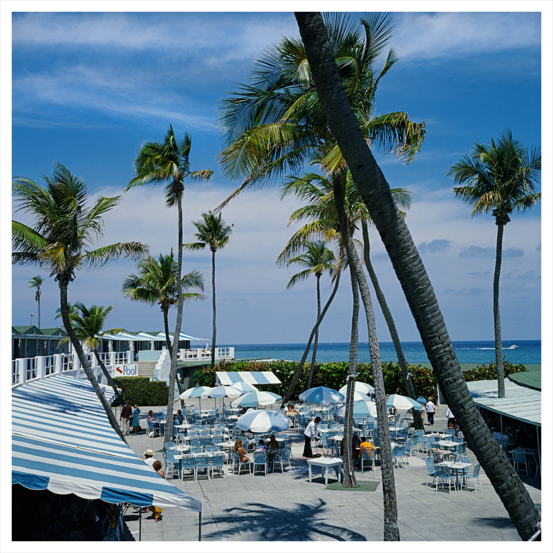 Florida Palms Print by Slim Aarons, 45" H x 45" W x 0.1" D, Unframed