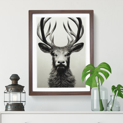 Portrait of a Wild Stag No.3 - Framed Print