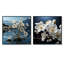Blossuming Dogwood - Ensemble de 2 collages carrés Dogwood-1642735787-1642735784