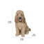 Statue cockapoo assis-44488700