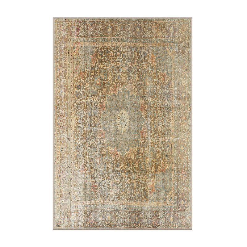 Antonella Oriental Indoor Rug, Rectangle 4' x 6'