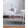 Canda Indoor Rug